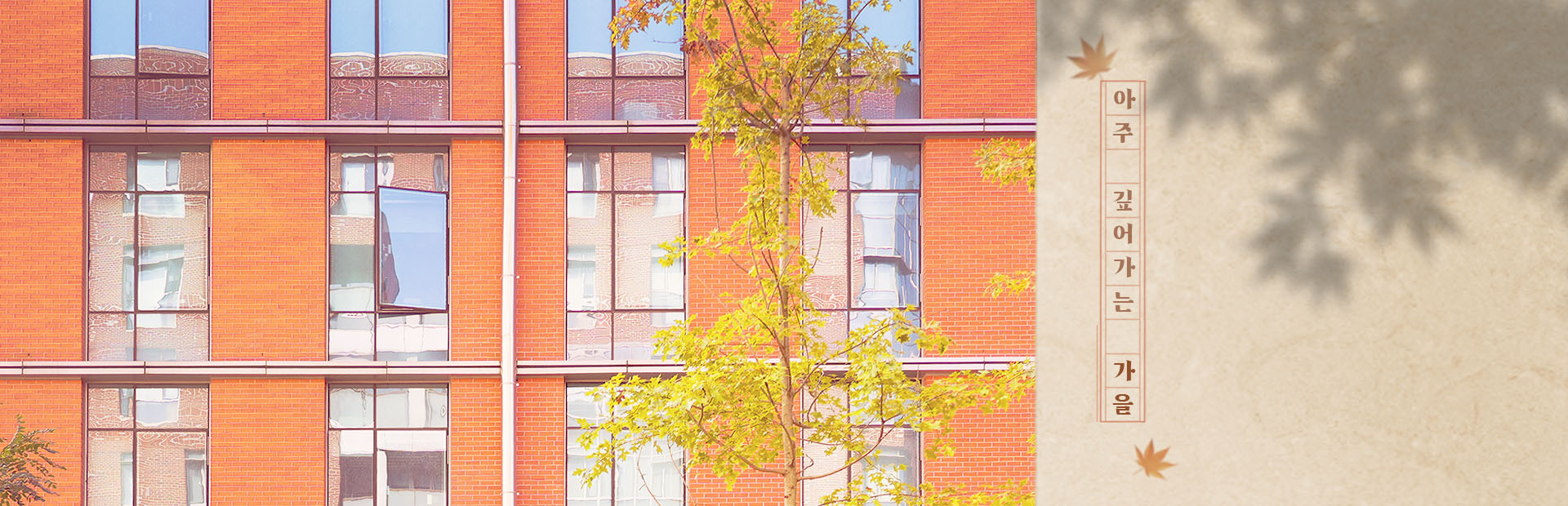 아주 깊어가는 가을 page2